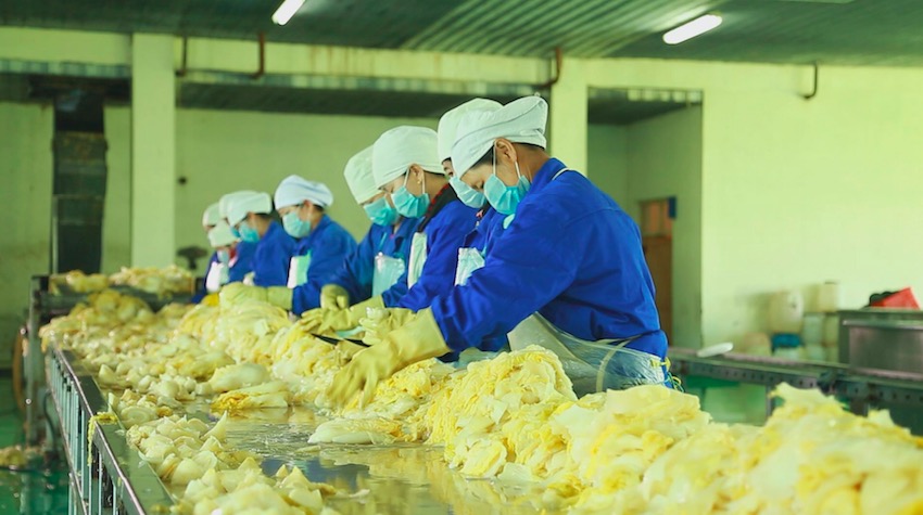 超凡国际官方网站图片