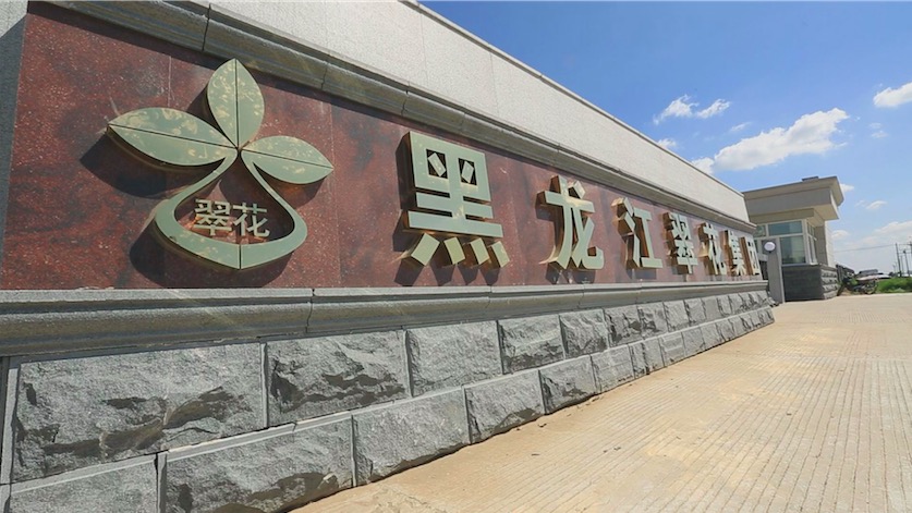 超凡国际官方网站图片